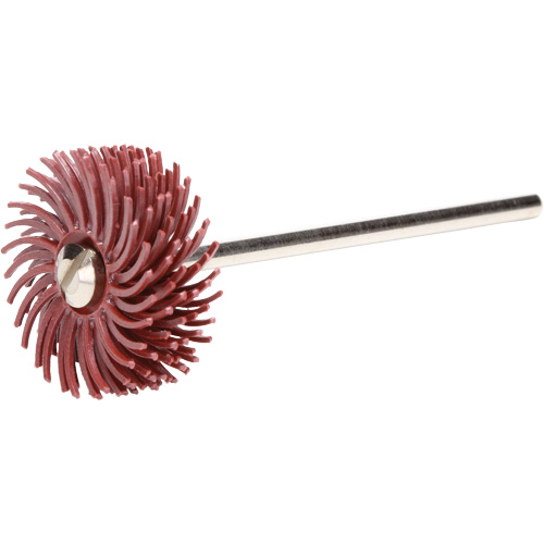 Scotch-Brite Radial Bristle Discs, P220X Grit, 3/4" Dia. Infinity Industrial Services Inc.