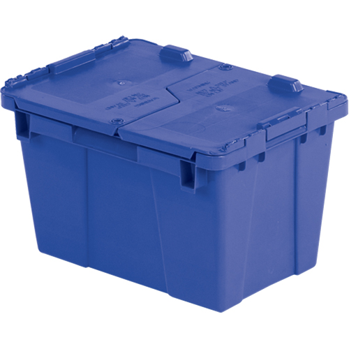Flipak&reg; Polyethylene Plastic (PE) Distribution Containers, 15.2" x 10.9" x 9.7", Blue Infinity Industrial Services Inc.