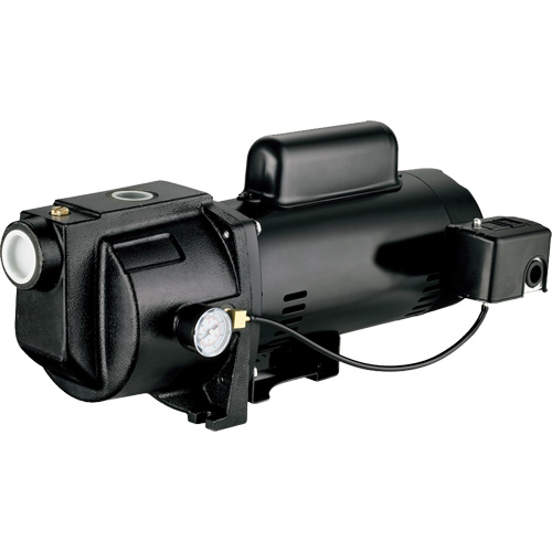 Dual Voltage Cast Iron Shallow Well Jet Pump, 115 V/230 V, 1260 GPH, 1 HP Infinity Industrial Services Inc.