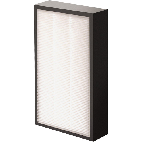 AeraMax&reg; Pro AM2 1-3/4" True HEPA Filter, Box, 7.38" W x 1.88" D x 12.88" H Infinity Industrial Services Inc.