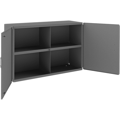 Armoire murale, 24" h x 33-13/16" la x 12-3/8" p, 1 tablettes, Acier, Gris Infinity Industrial Services Inc.