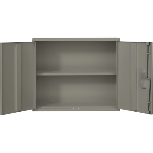 Wall Mounted Cabinet, Steel, 2 Shelves, 30" H x 36" W x 12" D, Grey Infinity Industrial Services Inc.