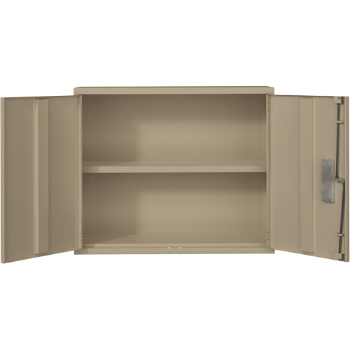 Armoire murale, Acier, 2 Tablettes, 30" h x 36" la x 12" P, Beige Infinity Industrial Services Inc.