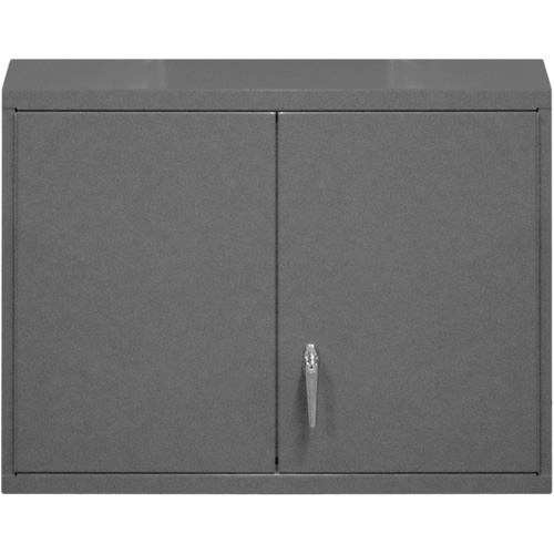 Wall-Mounted Cabinet, 27" H x 29-7/8" W x 13-11/16" D, 2 Shelves, Steel, Grey Infinity Industrial Services Inc.