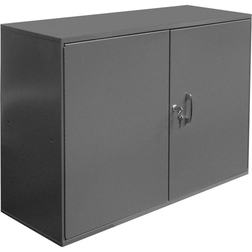 Abrasive Accessory Cabinet, Steel, 2 Drawers, 33-3/4" x 11-7/8" x 23-7/8", Grey Infinity Industrial Services Inc.