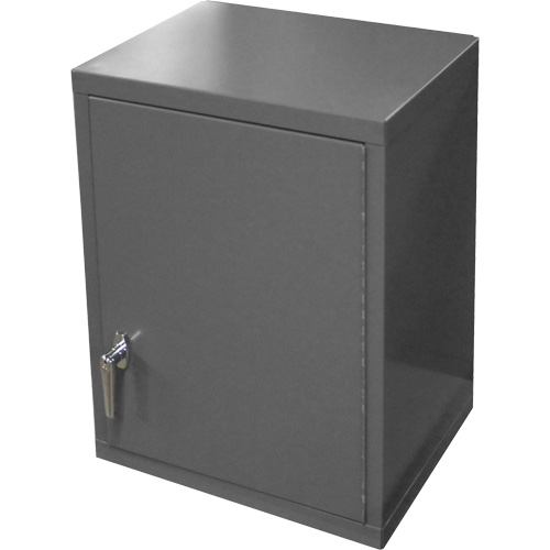 Wall-Mounted Cabinet, 27" H x 13-11/16" W x 18" D, 2 Shelves, Steel, Grey Infinity Industrial Services Inc.