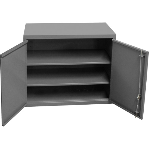 Wall-Mounted Cabinet, 27" H x 13-11/16" W x 35-7/8" D, 2 Shelves, Steel, Grey Infinity Industrial Services Inc.