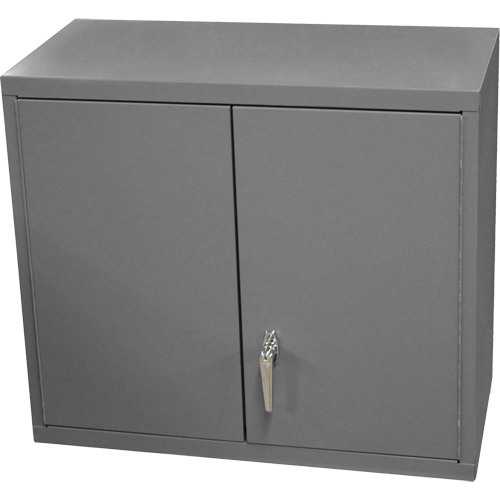 Wall-Mounted Cabinet, 27" H x 13-11/16" W x 35-7/8" D, 2 Shelves, Steel, Grey Infinity Industrial Services Inc.