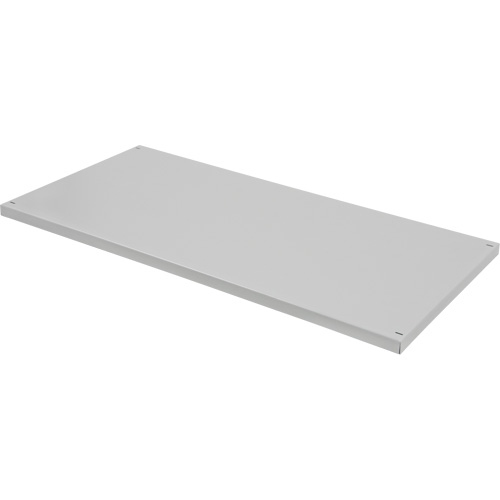 Replacement Shelf for Knocked Down Cabinet, 30" x 15", 100 lbs. Capacity, Steel, Grey Infinity Industrial Services Inc.