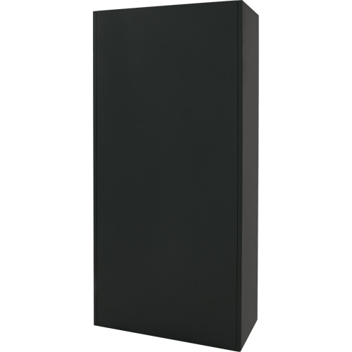 Hi-Boy Storage Cabinet, Steel, 4 Shelves, 72" H x 36" W x 18" D, Black Infinity Industrial Services Inc.