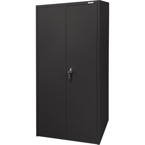 Storage Cabinet, Steel, 4 Shelves, 66" H x 30" W x 15" D, Black Infinity Industrial Services Inc.