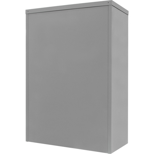 Armoire de rangement &agrave; hauteur de comptoir, Acier, 2 Tablettes, 42" h x 36" la x 24" P, Gris Infinity Industrial Services Inc.