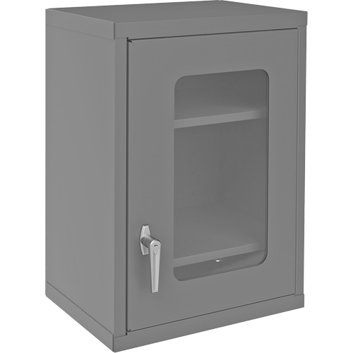 Wall-Mountable Storage Cabinet with Clearview Doors, 26-15/16" H x 18-1/8" W x 13-11/16" D, 2 Shelves, Steel, Grey Infinity Industrial Services Inc.