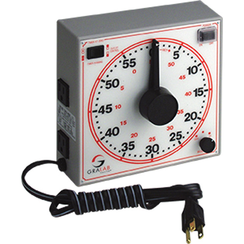 Dual Scale Timer Infinity Industrial Services Inc.