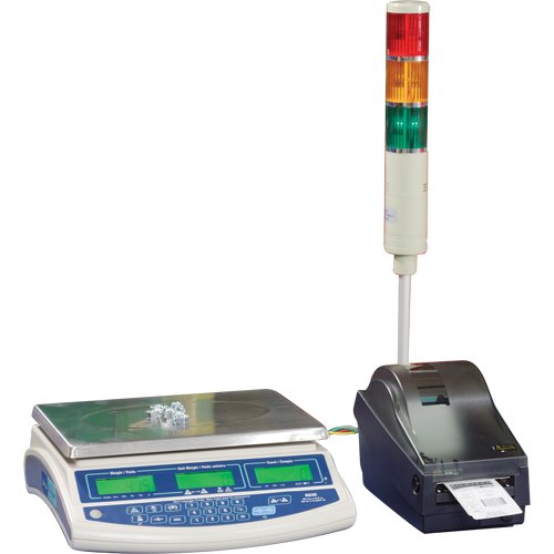 Balance pour compter Abacus AB30, Capacit&eacute; 60 lb / 30 kg, Graduations 0,001 lb / 0,5 g Infinity Industrial Services Inc.
