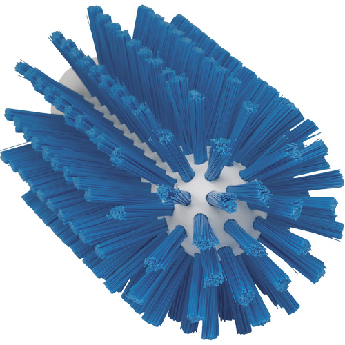 Brosse pour l'hygi&egrave;ne des aliments, Soies Moyen, Longueur de 6", Bleu Infinity Industrial Services Inc.