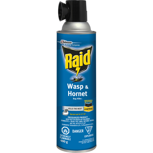 Insecticide contre les gu&ecirc;pes et les frelons Raid, 400 g, &agrave; base de solvant Infinity Industrial Services Inc.
