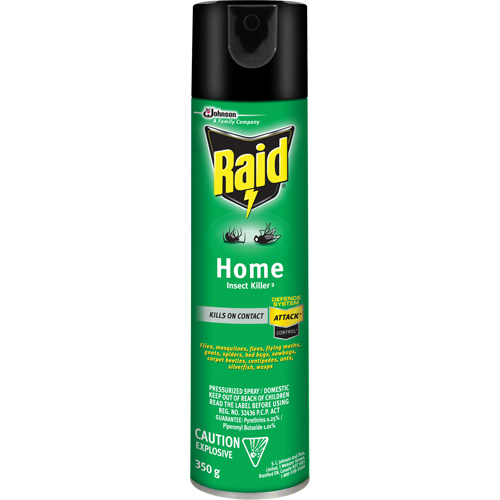 Raid&reg; Home Insect Killer, 350 g, Solvent Base Infinity Industrial Services Inc.