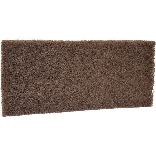 Coarse Scrub Pad, 10" L x 4-1/2" W Infinity Industrial Services Inc.