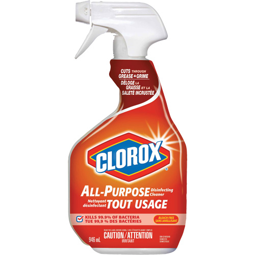 All-Purpose Disinfecting Cleaner Spray, 946 ml, Trigger Bottle Infinity Industrial Services Inc.