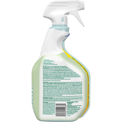 Nettoyant d&eacute;sinfectant CloroxPro Clorox EcoClean, 946 ml, Bouteille &agrave; g&acirc;chette Infinity Industrial Services Inc.