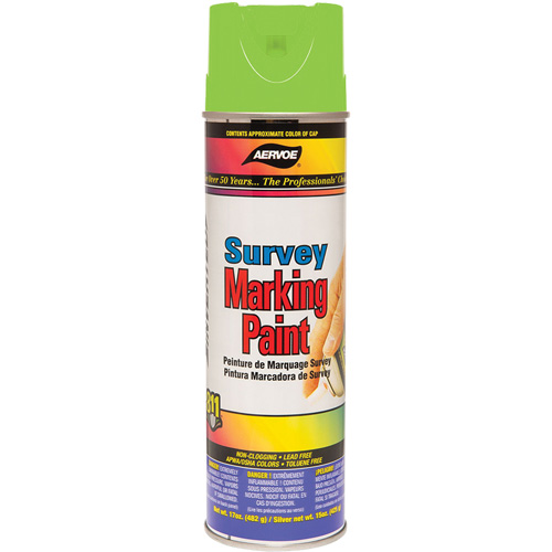 All-Purpose Marking Paint, 17 oz., Aerosol Can Infinity Industrial Services Inc.