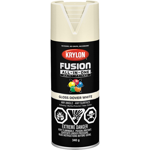 Fusion All-In-One Spray Paint, Dover White, Gloss, 12 oz., Aerosol Can Infinity Industrial Services Inc.