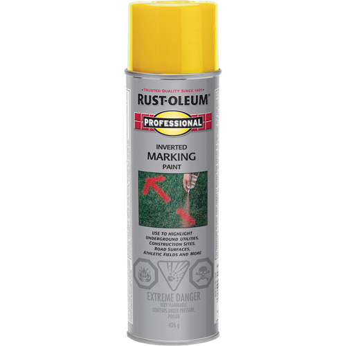 Peinture de marquage renvers&eacute; en a&eacute;rosol, 426 g, Canette a&eacute;rosol Infinity Industrial Services Inc.