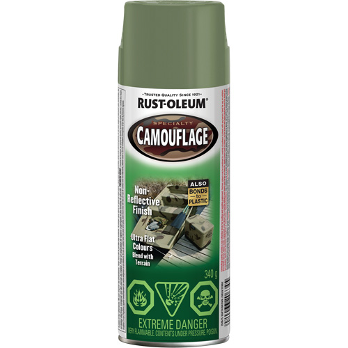 Peinture de camouflage Sp&eacute;cialit&eacute;, Canette a&eacute;rosol, Brun terre Infinity Industrial Services Inc.