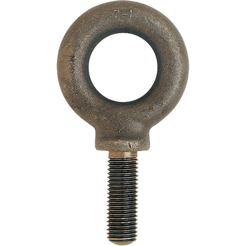 Metric Eyebolt, 51 mm Dia., 70 mm L, 11400 lbs. (5.7 tons) Capacity Infinity Industrial Services Inc.