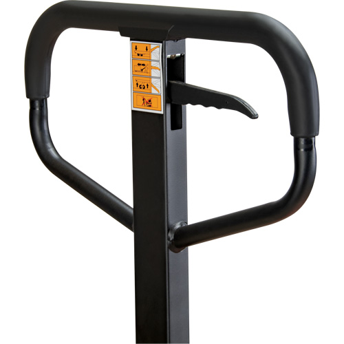 Manual Pallet Truck, Steel, 48" L x 21" W, 5500 lbs. Capacity Infinity Industrial Services Inc.