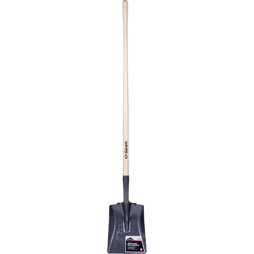 Pro Square Point Shovel, Wood, Tempered Steel Blade, Straight Handle, 48" Long Infinity Industrial Services Inc.