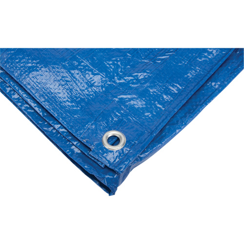 B&acirc;che, Standard, Bleu, 7' x 5' x 4 mils Infinity Industrial Services Inc.