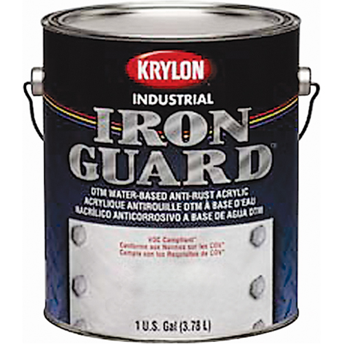 &eacute;mail industriel &agrave; base d'eau Iron Guard, Canette, Gris Infinity Industrial Services Inc.