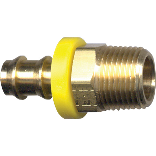 Grip-Tite Male Pipe Hose Fitting, 1/4" x 1/4" Dia, Brass Infinity Industrial Services Inc.