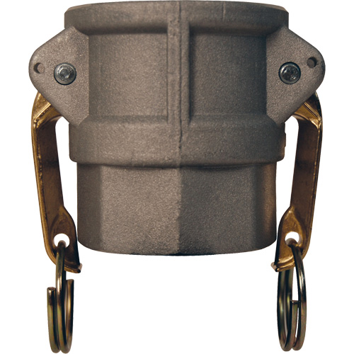 Global Cam & Groove Coupler, Aluminum, Type D, 2-1/2", Female NPT, 250 PSI Infinity Industrial Services Inc.