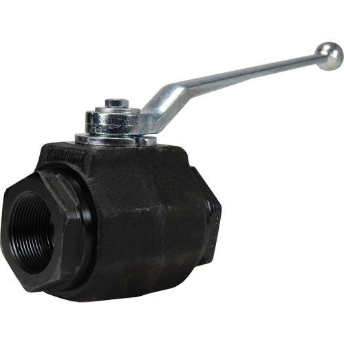 High Pressure Full-Bore Ball Valve, Steel, Manual, FNPT x FNPT Infinity Industrial Services Inc.