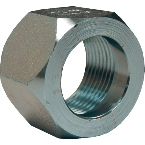 &eacute;crou hexagonal de minage Dixon, 1", Zingu&eacute;, Filetage NPT Infinity Industrial Services Inc.
