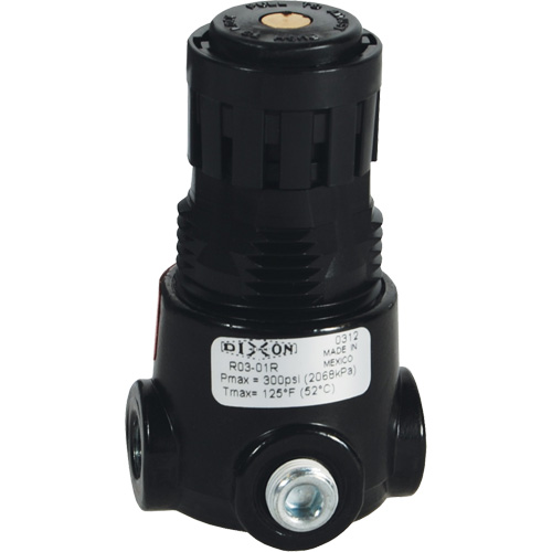 Wilkerson Miniature Regulator R03, 1/8" NPT, 300 psi Max. PSI, Standard Infinity Industrial Services Inc.