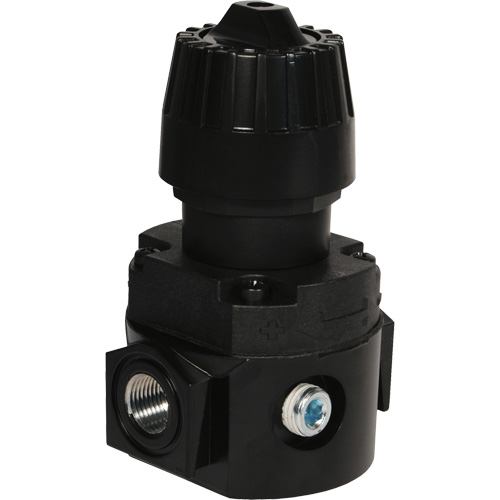 Wilkerson Compact Regulator R16, 1/4" NPT, 300 psi Max. PSI, Standard Infinity Industrial Services Inc.