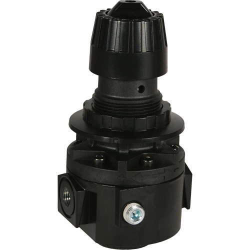 Wilkerson Regulator R26, 1/2" NPT, 300 psi Max. PSI, Standard Infinity Industrial Services Inc.