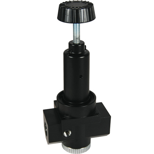 R&eacute;gulateur &agrave; d&eacute;bit &eacute;lev&eacute; R30 Wilkerson, 1" NPT, PSI max. de 300 psi, Standard Infinity Industrial Services Inc.