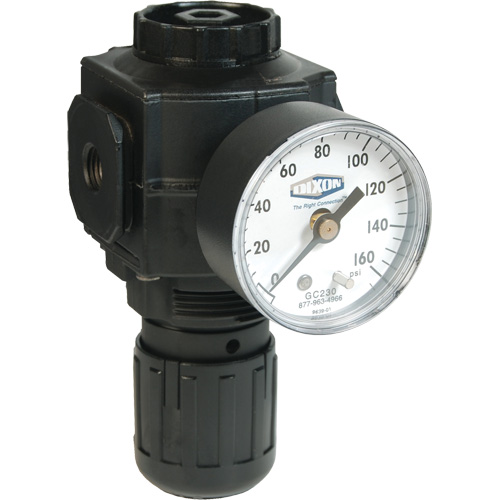 Series 1 Compact Regulator, 1/2" NPT, 150 PSI Max. PSI, Standard Infinity Industrial Services Inc.