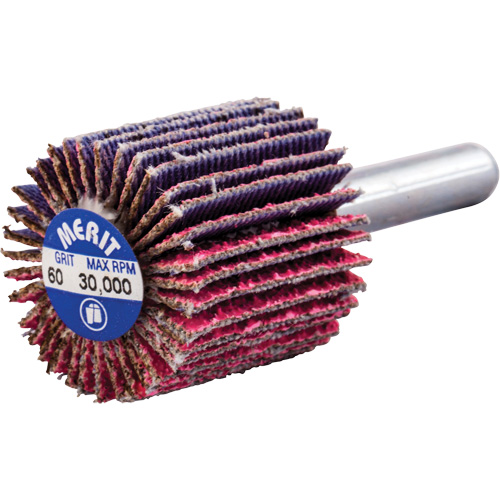 Mini-meule &agrave; lamelles mont&eacute;e sur tige, C&eacute;ramique d'alumine, Grain 60, 1" x 1" x 1/4" Infinity Industrial Services Inc.