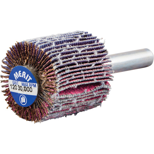 Shank Mounted Mini Flap Wheel, Ceramic Alumina, 120 Grit, 1" x 1" x 1/4" Infinity Industrial Services Inc.