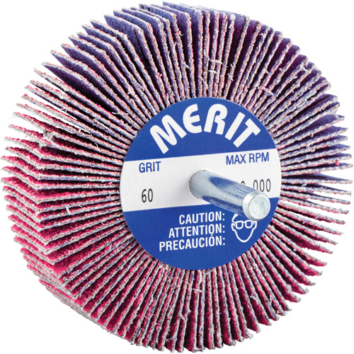 Shank Mounted Mini Flap Wheel, Ceramic Alumina, 60 Grit, 3" x 1" x 1/4" Infinity Industrial Services Inc.