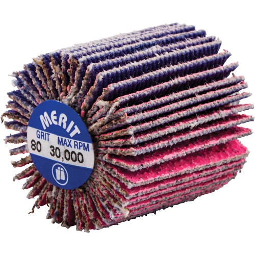 Mini-meule &agrave; lamelles filet&eacute;es, C&eacute;ramique d'alumine, Grain 80, 1" x 1" x 1/4"-20 Infinity Industrial Services Inc.