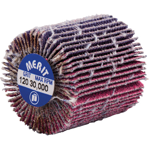 Threaded Mini Flap Wheel, Ceramic Alumina, 120 Grit, 1" x 1" x 1/4"-20 Infinity Industrial Services Inc.