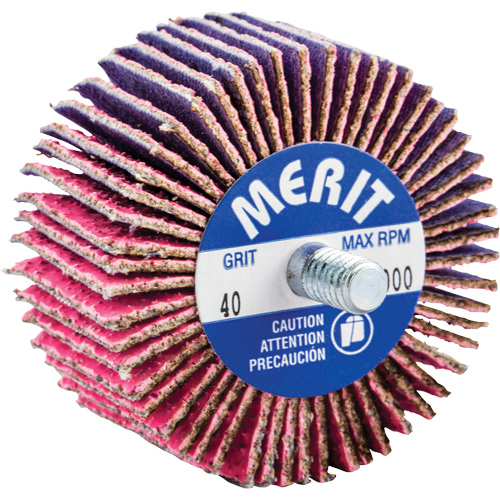 Threaded Mini Flap Wheel, Ceramic Alumina, 40 Grit, 2" x 1" x 1/4"-20 Infinity Industrial Services Inc.