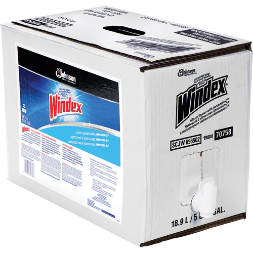 Windex&reg; Glass Cleaner with Ammonia-D&reg;, 5 gal., Bag Infinity Industrial Services Inc.